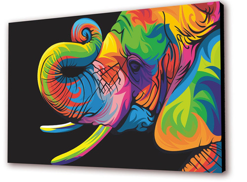 Cuadro 50x30cms Decorativo Elefante