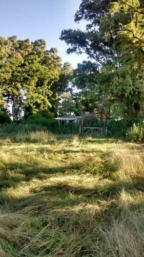 40 Hectáreas Mixtas En San Miguel Del Monte