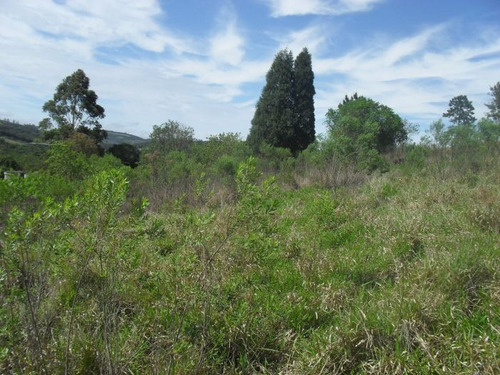 Imagem 1 de 15 de Terreno Em Ibiúna | 31839 - 31839