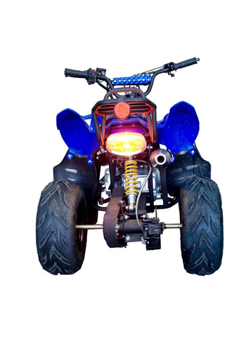 Quadriciclo À Gasolina Infantil 110cc Barzi Motors Moskiti