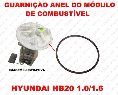 Guarnição Anel Bomba Combustivel Hb20 1.0/1.6