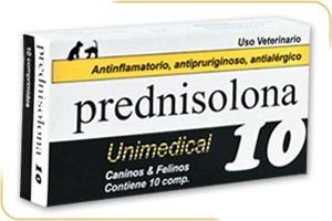 Antiinlamatorio Para Caninos Y Felinos Prednisolona 10 Mg