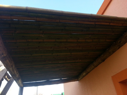Colocacion De Cañas De Bambu Y Pegolas