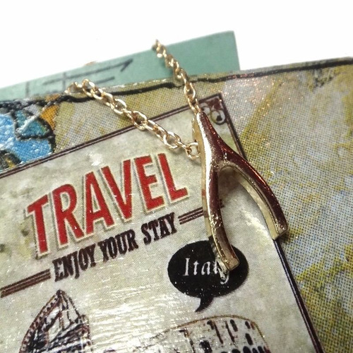 Collar Hueso De Buena Suerte Fortuna Fashion Mujer Tb
