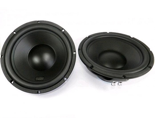 Subwoofer 1004-sw-1 Nar Audio 200w Rms 10 Polegadas 4 Ohms