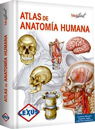 Libro Atlas De Anatomía Humana Medicina