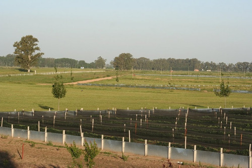 Campo-chacra-lote-rural-barrio-descanso-011-15-50101555