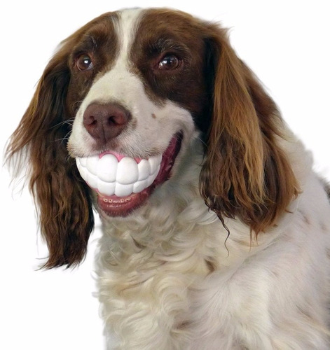 Pelota Para Perro Con Sonrisa Y Sonido Al Morder.