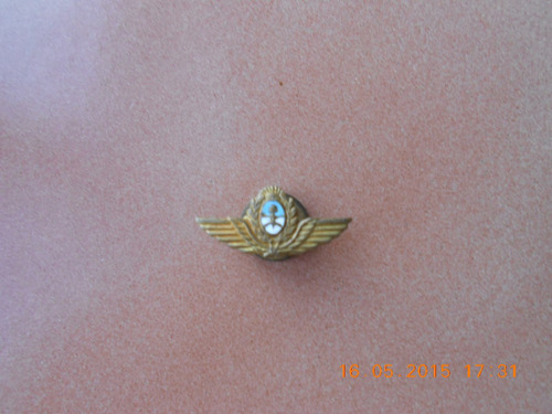 Antiguo Pin Con Escudo Esmaltado Fuerza Aerea Argentina