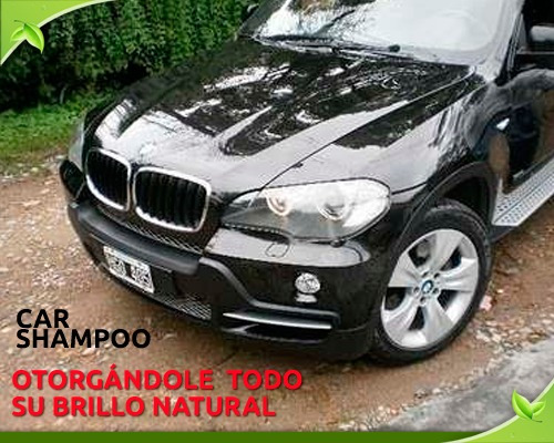 Imagen 2 de 6 de Shampoo Para Autos - Ecologico, Limpia Y Encera