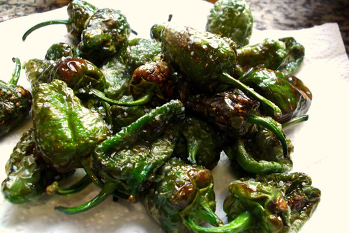 Pimenta Padron Ou Roleta Pimienta De Tapas Sementes P/ Mudas