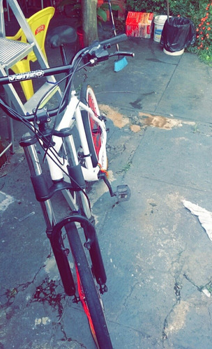 Gallo Novinha