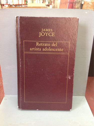Retrato Del Adolescente Por James Joyce