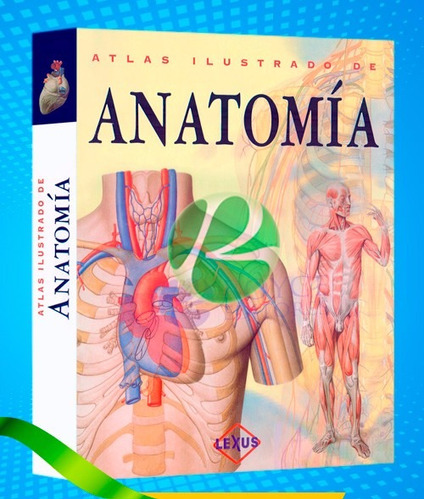 Atlas Ilustrado De Anatomía