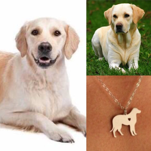 Collar De Perro Labrador Joyeria Forma De Perro