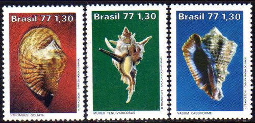 Brasil Serie Completa X 3 Sellos Mint Moluscos Año 1977