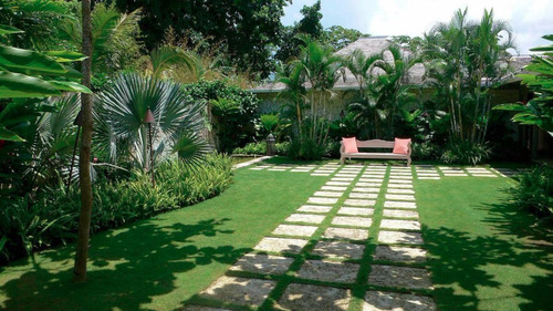 Imagem 4 de 9 de Grama Bermuda Folha Fina 32.000 Sementes Importadas Jardim