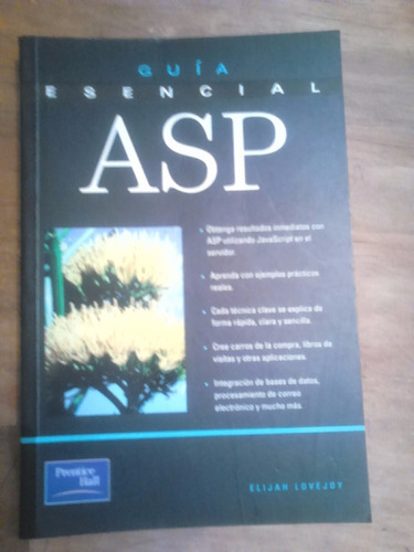 Guía Esencial Asp (active Server Pages)