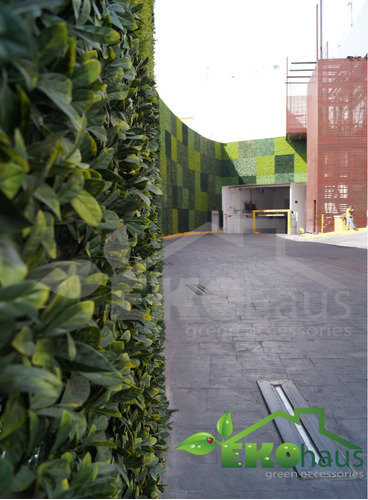 Muro Verde, Arbustos, Setos, Plantas Para Exterior