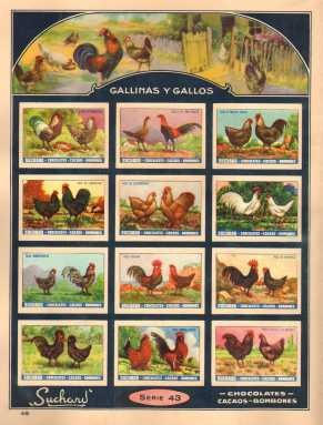 Suchard 43 - Gallinas Y Gallos - Lámina 45 X 30 Cm.