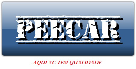 Braço Limpador Traseiro Com Palheta Palio 96 A 2003