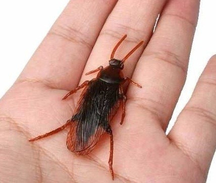 Cucaracha De Goma X 2 Broma Chasco Terror Halloween