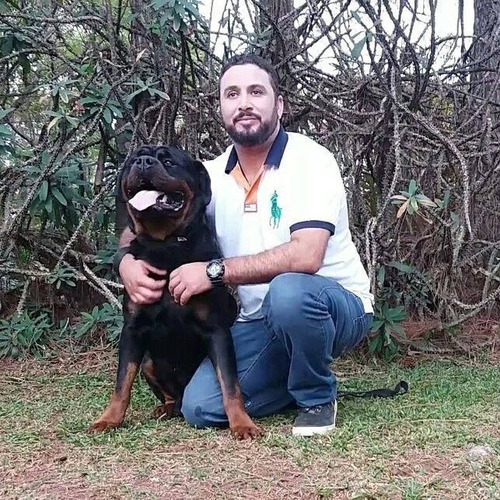 Filhotes De Rottweiler - Linhagem De Campeões (machos)