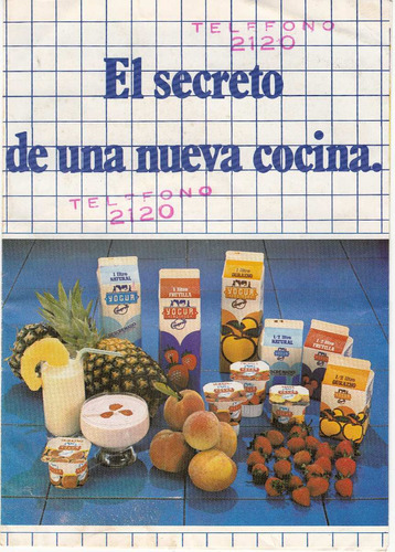 Conaprole Recetario Con Publicidad De Yogur 1985 Lecheria