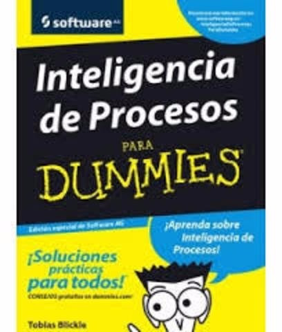 Inteligenca De Procesos  Para Dummies Libro Pdf