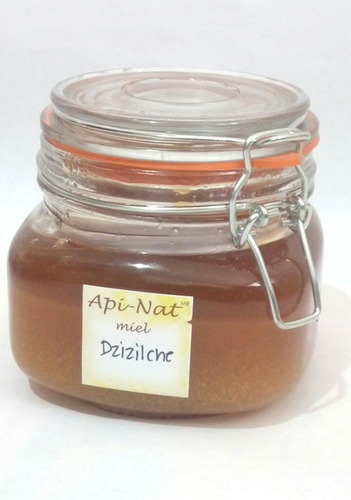 Miel De Abeja Tipo Gourmet De Dzizilche