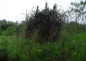 Imagem 7 de 14 de Terreno | 6382 - 6382