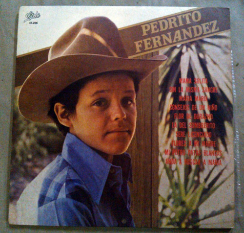 Pedrito Fernandez - Pedrito Fernandez Lp Argentino / Kktus