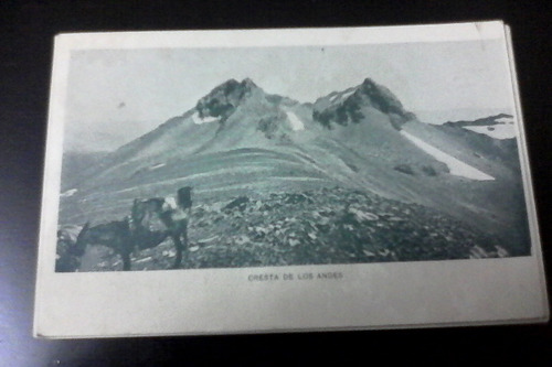 Lote Postales Argentina 1903