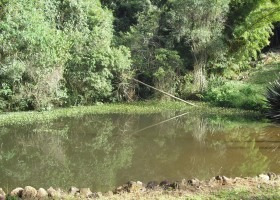 Imagem 4 de 15 de Sitio Em Ibiúna | 9626 - 9626