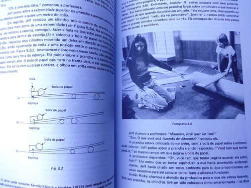 O Conhecimento Físico Na Educação Pré-escolar Teoria Piaget