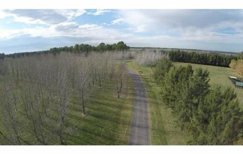Campos 10.000 M2 En Capilla Del Señor