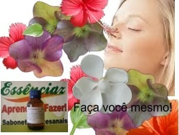 Essência Concentrada 100ml Aromatizador Perfume Carro Novo