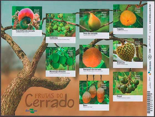B 196 Bloco Frutas Do Cerrado 2016