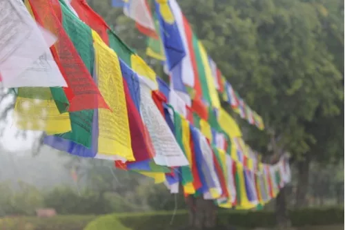  Banderas tibetanas de oración budista para exteriores, 20  unidades, de satén, viento, caballo, lungta, oración, 11 x 14 pulgadas :  Patio, Césped y Jardín
