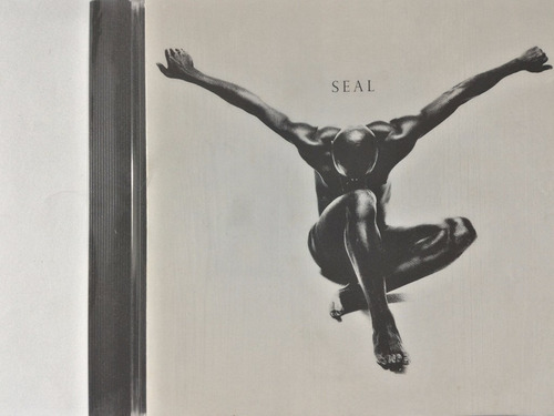 Cd Seal 1994 Com Kiss From A Rose - N6 (Usado)
