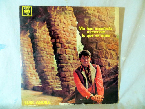 Luis Aguile, Me Has Enseñado A Conocer Lo Que Es Amor Vinilo