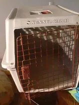 Comprar Kennel Para Traslados De Mascotas Serie 300.