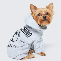 Comprar Curso Indumentaria Canina Online Pdf