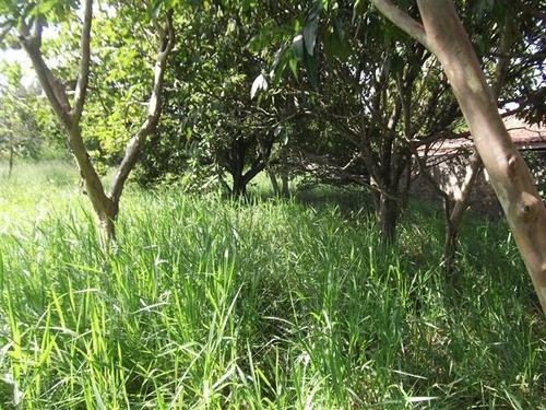 Imagem 1 de 22 de Terrenos À Venda Em Atibaia/sp - Compre O Seu Terrenos Aqui! - 1251437