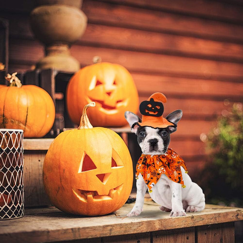 Disfraz De Halloween Para Perro, Collar De Perro Estilo Hall