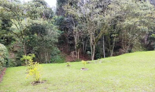 Lote En Venta En Puente Peláez. Cod V12341