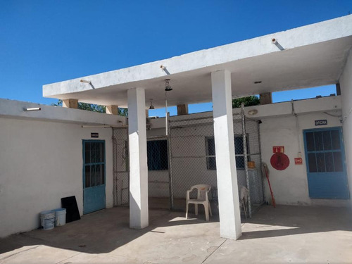 Bodega En Renta En La Aviacion, Torreon Coahuila