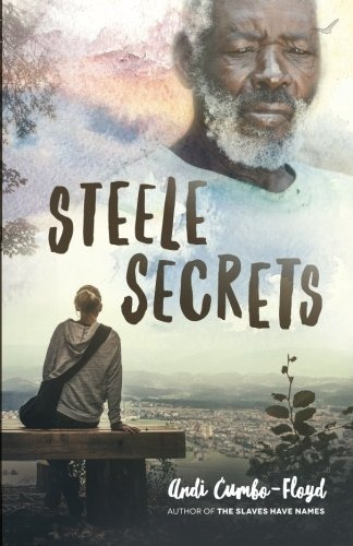 Steele Secrets (the Steele Secrets) (volume 1)