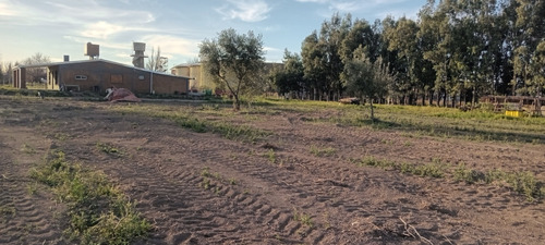 Casa Nueva De 165 Mt2 Con Importante Terreno De 4448 Metros