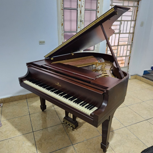 Piano De Cola Clásico Steinway & Sons Modelo M